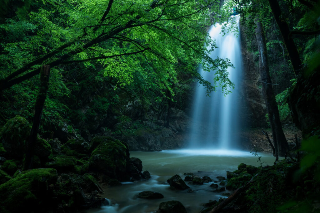 Environnement, ressources naturelles et cadre de vie